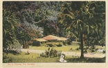 Picture of The Gardens