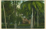 Picture of Malay Village