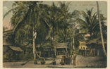 Picture of A Native Village