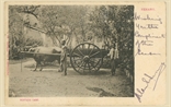 Picture of Buffalo Cart