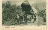 Picture of Bullock Cart, Singapore