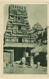 Picture of NC (Temple)