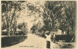 Picture of Club Road, Ipoh