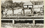 Picture of Copra Drying
