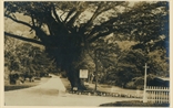 Picture of Entrance To Botanical Gardens