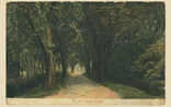 Picture of Green Lane