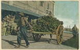 Picture of Hand-Cart Loaded With Bananas, Singapore