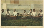 Picture of Native Band